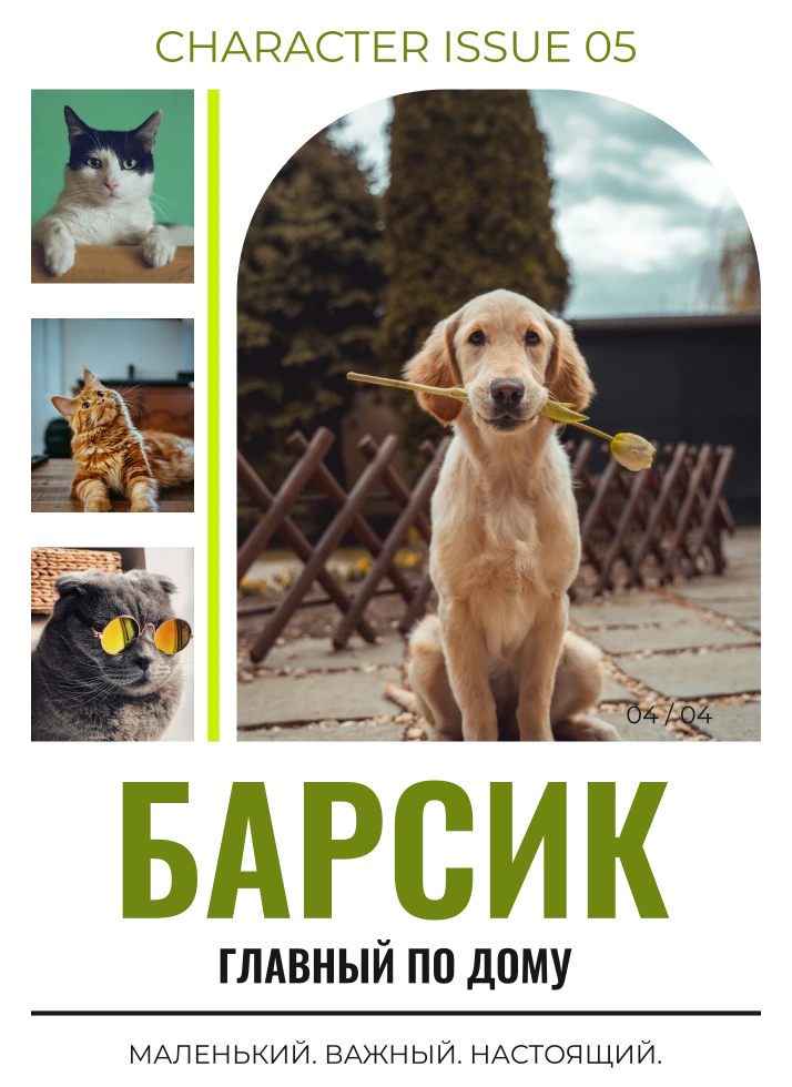 Характер крупным планом — шаблон для футболки