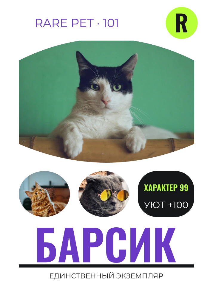 Редкая карточка — шаблон для футболки