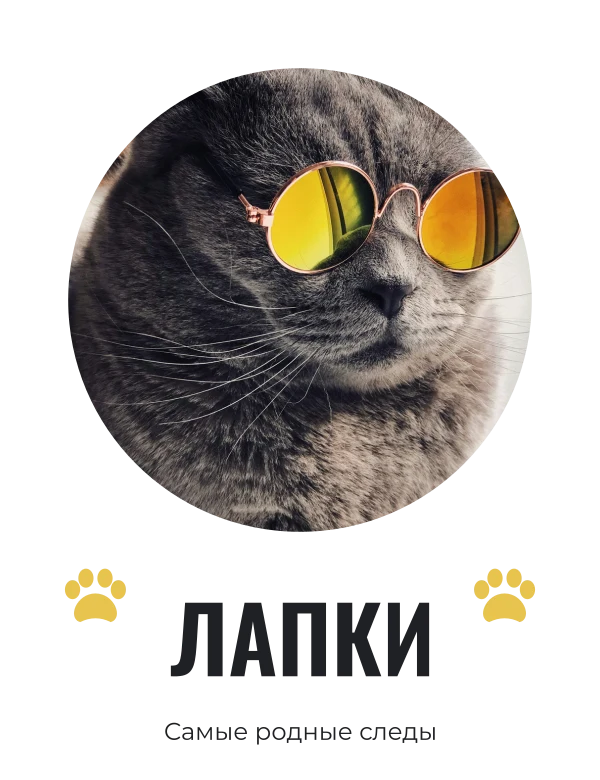 Лапы в кадре — шаблон для печати