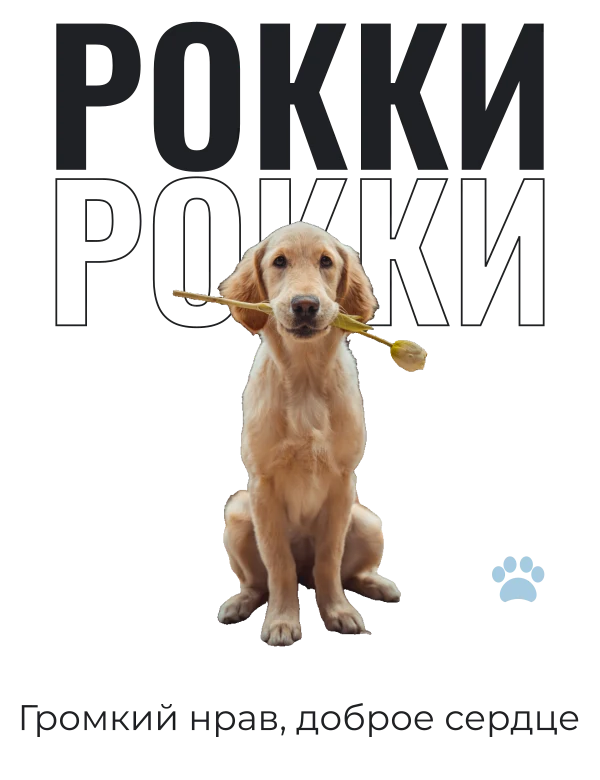 Имя с характером — шаблон для печати