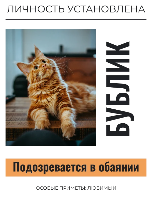 Личное дело питомца — шаблон для печати