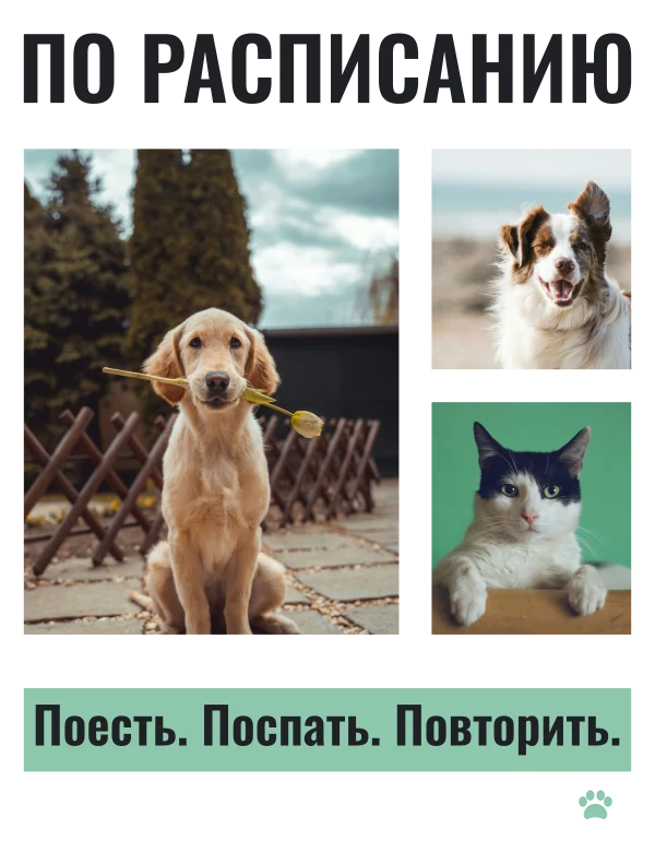 День из жизни — шаблон для печати