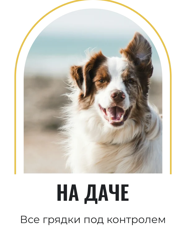 Садовый наблюдатель — шаблон для печати