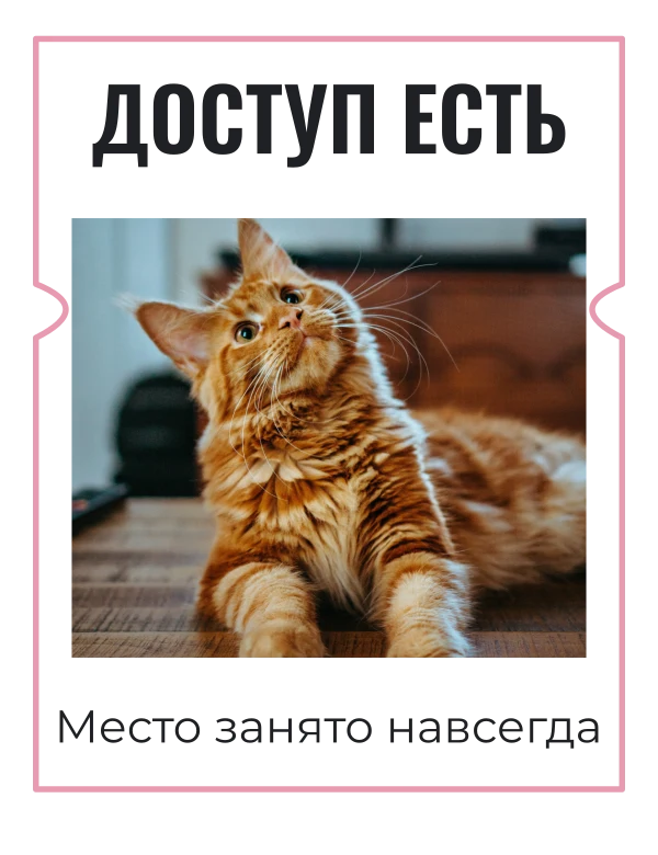 Пропуск к дивану — шаблон для печати