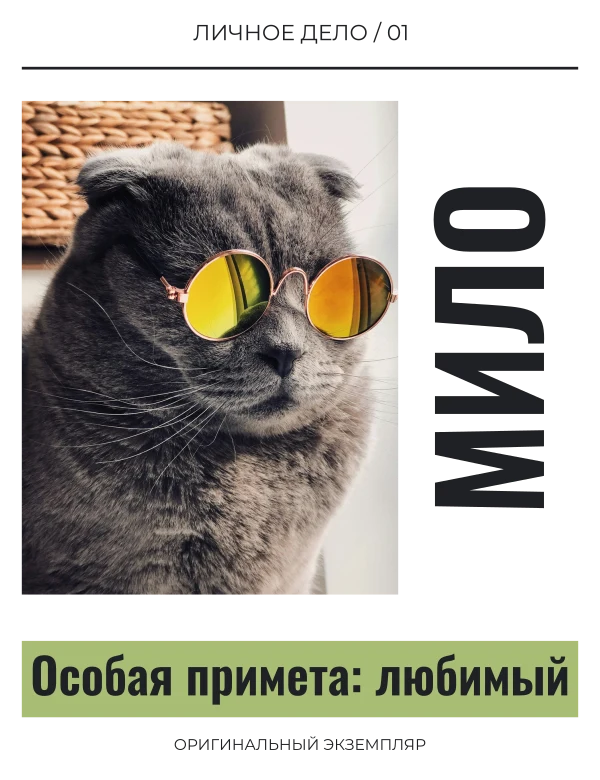 Паспорт любимца — шаблон для печати