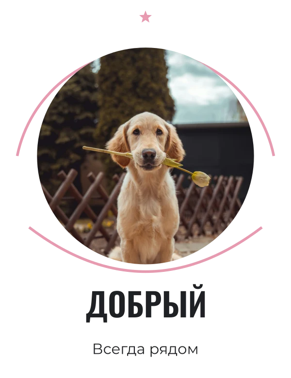 Портрет доброты — шаблон для печати