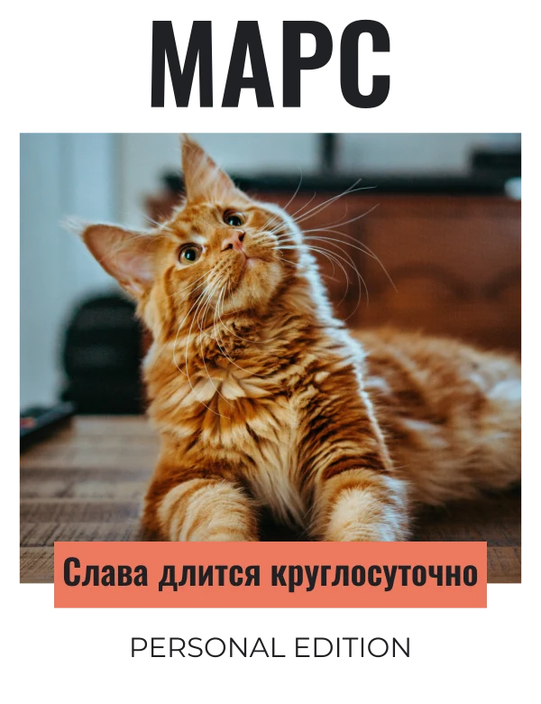 Пять минут славы — шаблон для футболки