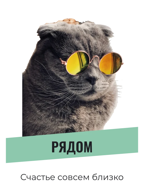 Тёплый нос — шаблон для футболки
