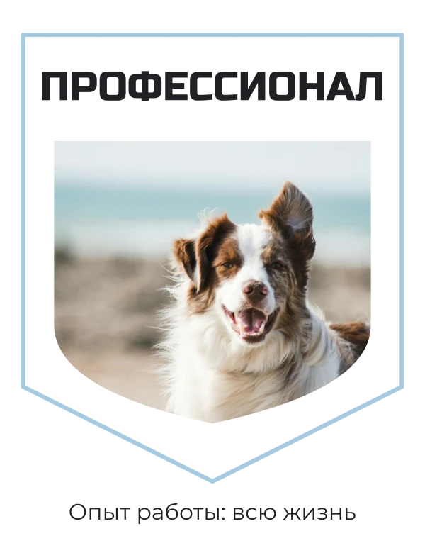 Почётный мурчатель — шаблон для футболки