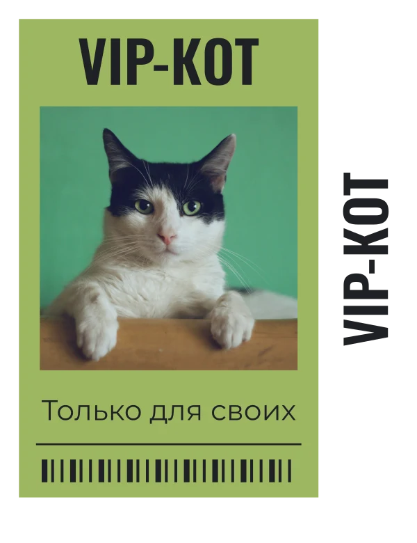 Пропуск на подоконник