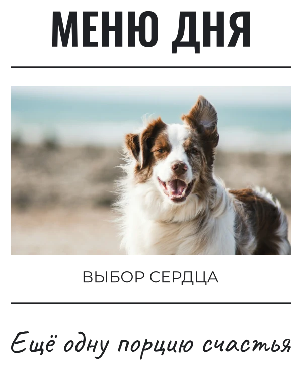 Дневник одной миски