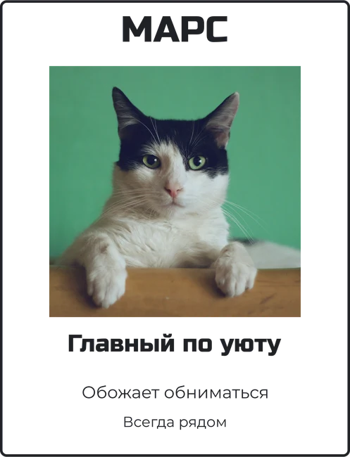 Паспорт любимца — шаблон для печати